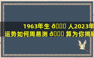 1963年生 🐋 人2023年运势如何周易测 🐋 算为你揭晓